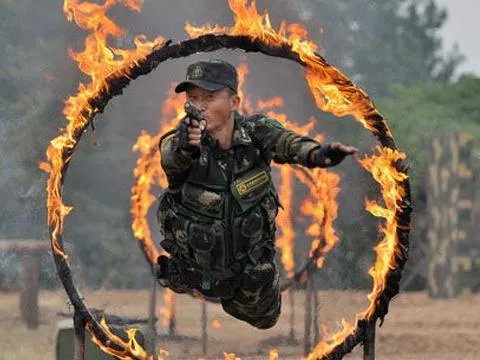 特种兵之利刃出鞘在线播放