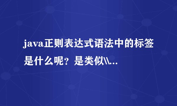 java正则表达式语法中的标签是什么呢?是类似\\S,\\d这样的东西吗?