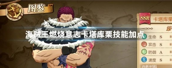 海贼王燃烧意志卡塔库栗技能加点