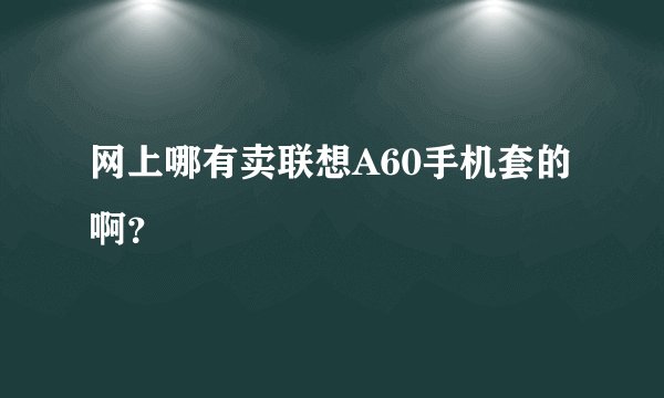 网上哪有卖联想A60手机套的啊？
