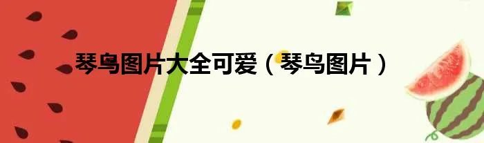 琴鸟图片大全可爱（琴鸟图片）