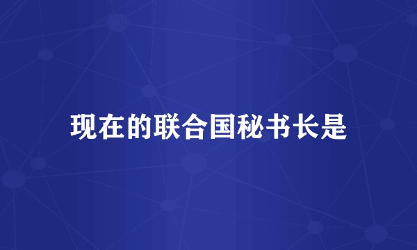 现在的联合国秘书长是