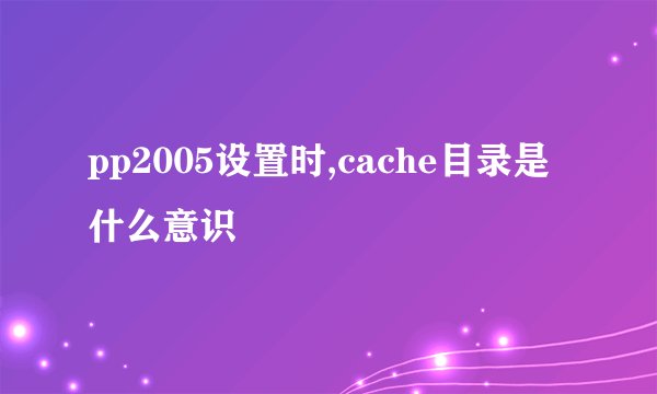 pp2005设置时,cache目录是什么意识
