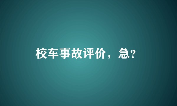 校车事故评价，急？