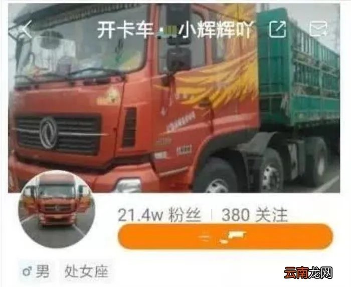 开卡车的小辉辉车祸事件始末 卡车司机小辉辉