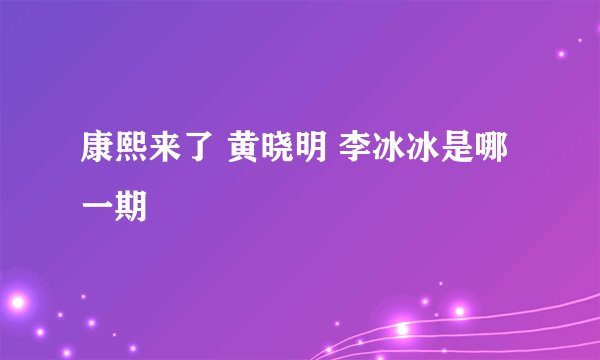 康熙来了 黄晓明 李冰冰是哪一期