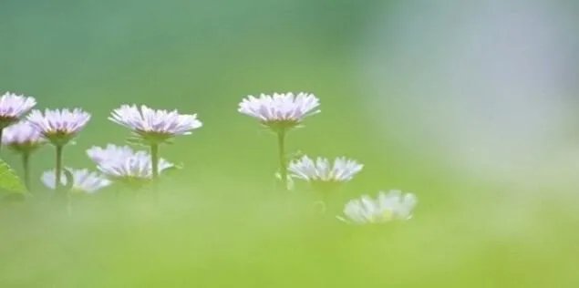 风风雨雨来时路，请对下联？