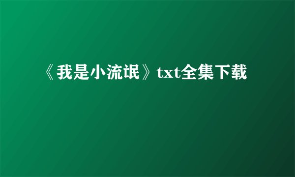 《我是小流氓》txt全集下载