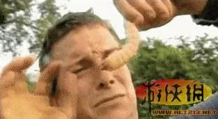 饭前饭后勿入:舌尖上的贝爷你敢吃其中几样?