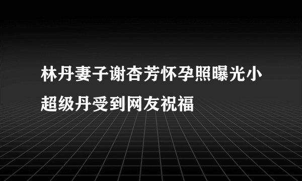林丹妻子谢杏芳怀孕照曝光小超级丹受到网友祝福
