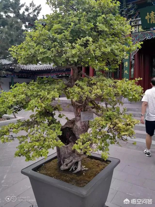 如何评价有人说罗永浩发布会总是迟到？