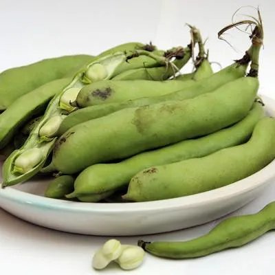 上环怀孕几率大吗