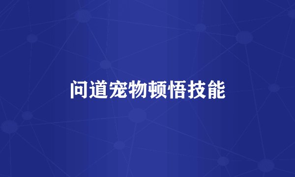 问道宠物顿悟技能