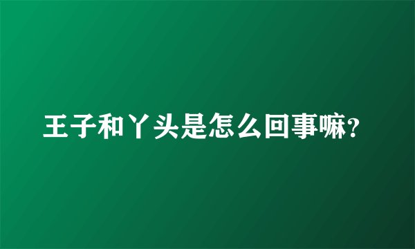 王子和丫头是怎么回事嘛？