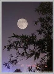 《黄鹤楼》这首诗有什么意境？