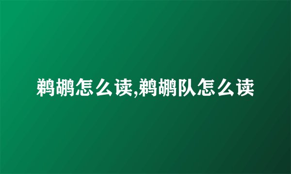 鹈鹕怎么读,鹈鹕队怎么读