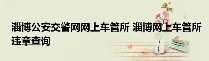 淄博公安交警网网上车管所 淄博网上车管所违章查询