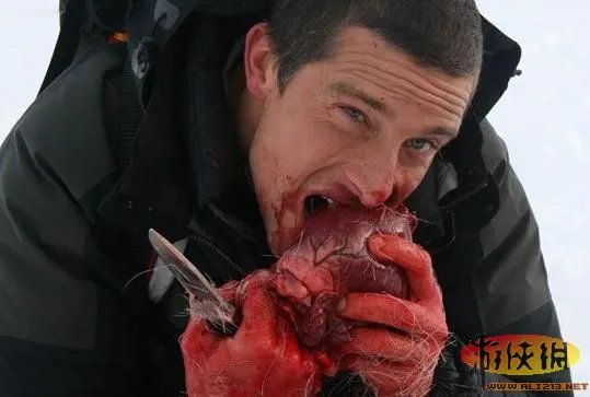 饭前饭后勿入：舌尖上的贝爷你敢吃其中几样？