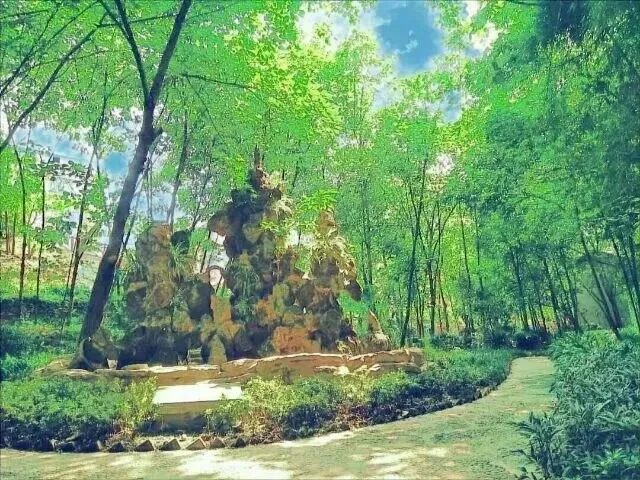 南充高中到底有多好？