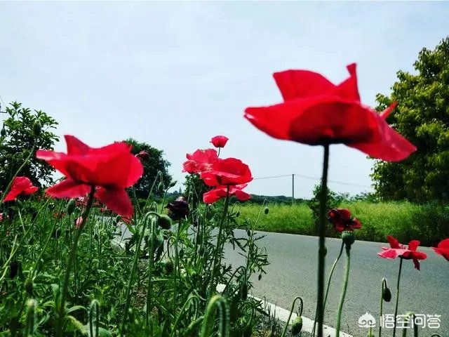 五一到底是旅游节还是劳动节?为什么好多人都选择去旅游?