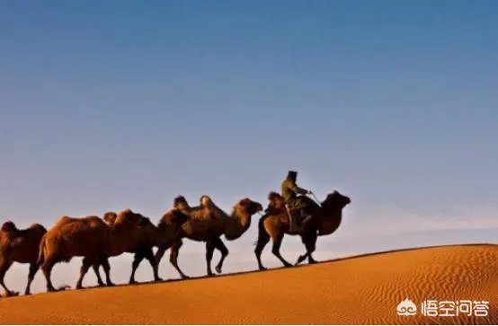 新疆塔克拉玛干沙漠能去旅游吗?