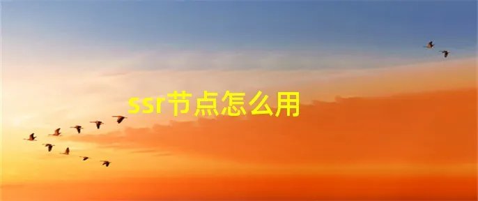 ssr节点怎么用