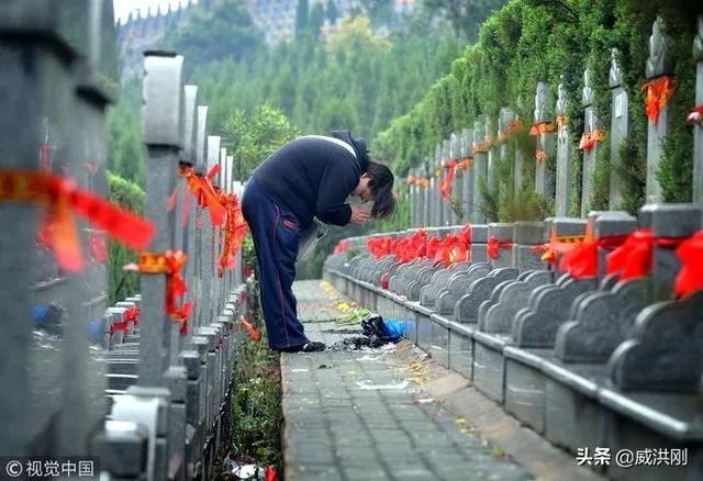 墓地太贵怎么解决？