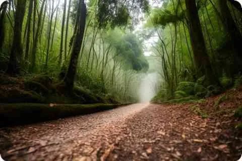 周柏豪发型叫什么?