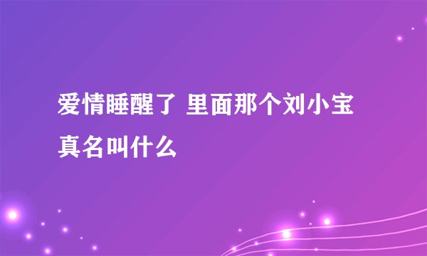 爱情睡醒了 里面那个刘小宝真名叫什么