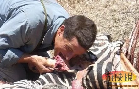 饭前饭后勿入:舌尖上的贝爷你敢吃其中几样?