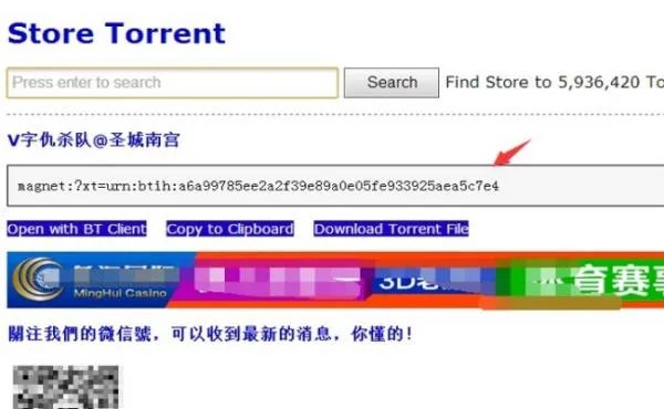 storetorrent官网