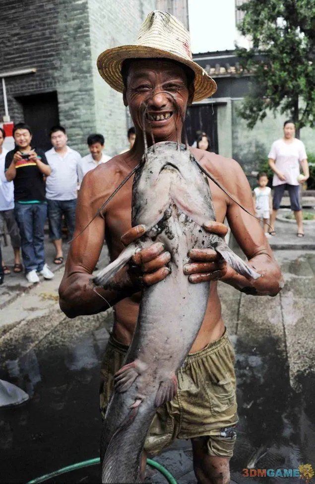 大得难以想象 那些震撼世人的巨型动物