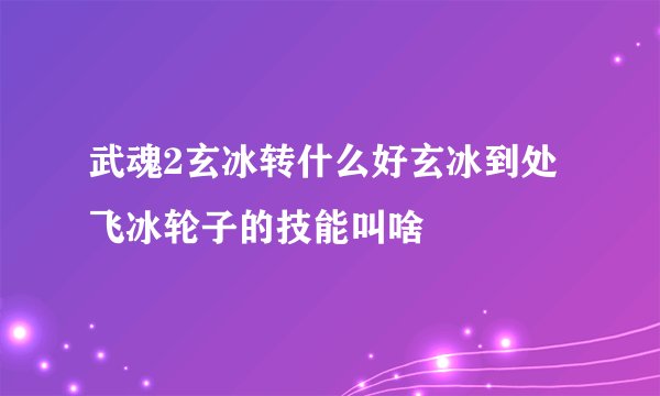 武魂2玄冰转什么好玄冰到处飞冰轮子的技能叫啥