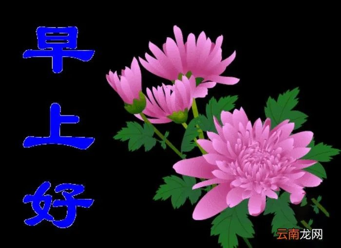 亲爱的最美早晨好动态图片大全 情人早上问候语动态图片