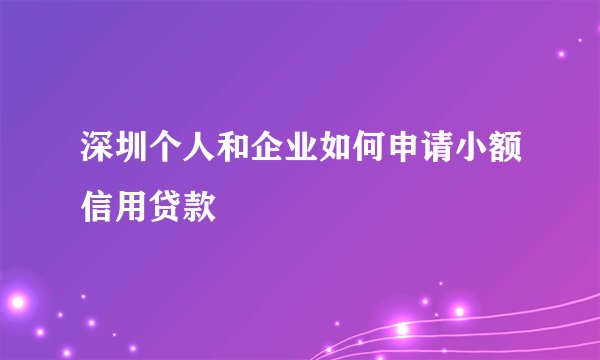 深圳个人和企业如何申请小额信用贷款