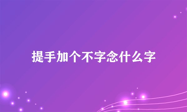 提手加个不字念什么字