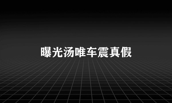 曝光汤唯车震真假