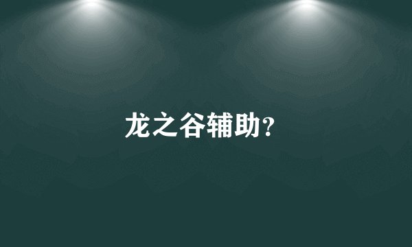 龙之谷辅助？