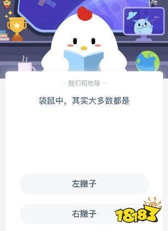 袋鼠中大多数都是左撇子还是右撇子 一起来看看吧