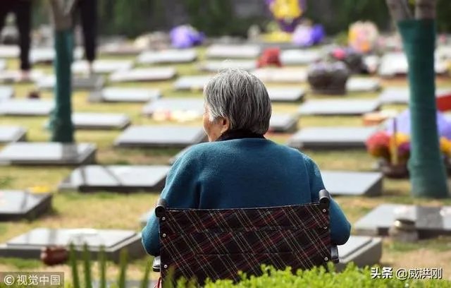 墓地太贵怎么解决？