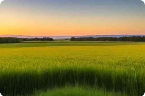 皮尔洛为什么叫睡皮,皮尔洛为什么叫睡皮