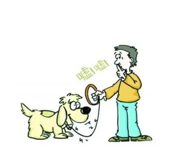 济南养犬积分制是怎么回事?