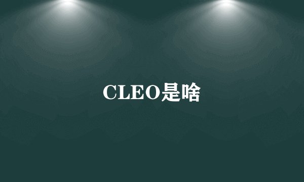 CLEO是啥
