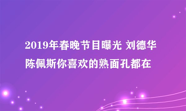 2019年春晚节目曝光 刘德华陈佩斯你喜欢的熟面孔都在