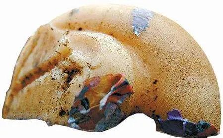 “太岁”究竟是什么神秘“太岁”的真面目