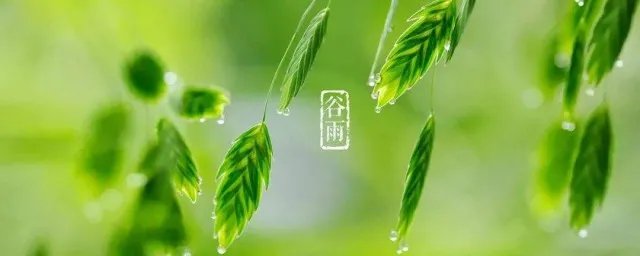 谷雨四句古诗