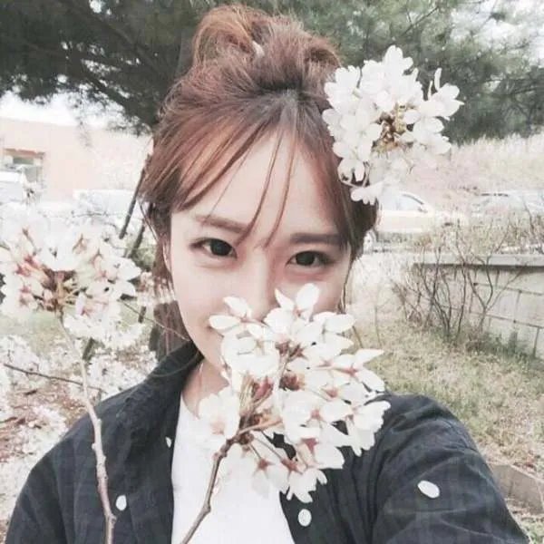 摩登天空称没必要没预算刷票,为何网友不买帐?