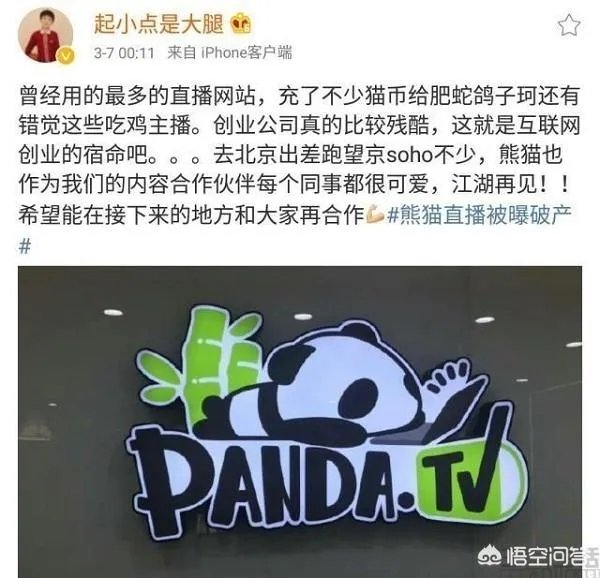 网曝熊猫直播18号关服,PDD直播间改名“全完了”,大批主播失业,如何评价此事?