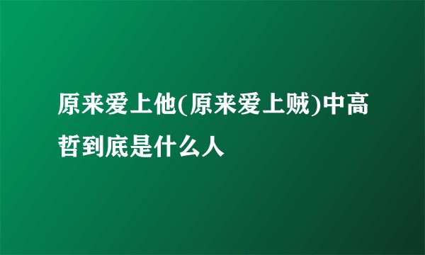 原来爱上他(原来爱上贼)中高哲到底是什么人