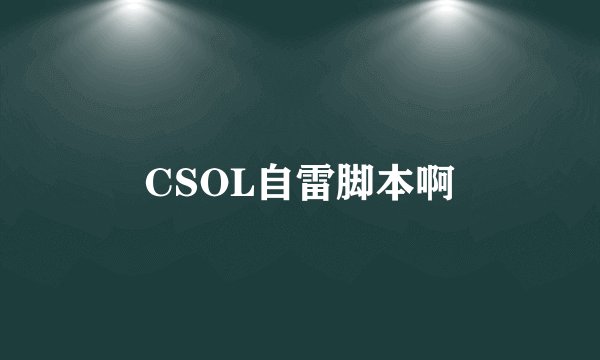 CSOL自雷脚本啊